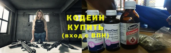 apvp Вяземский