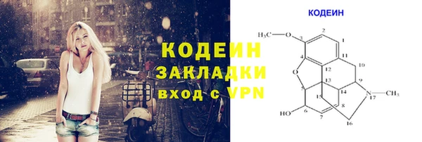 apvp Вяземский