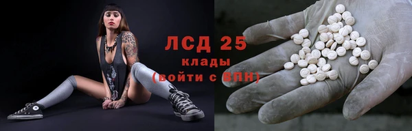 apvp Вяземский