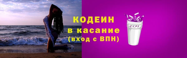 apvp Вяземский