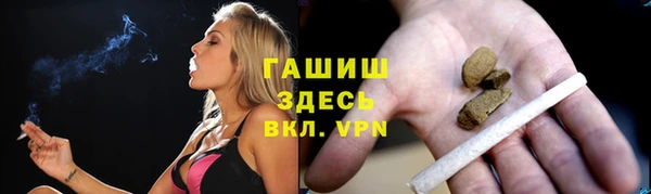 apvp Вяземский