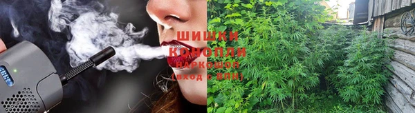 бошки Вязьма