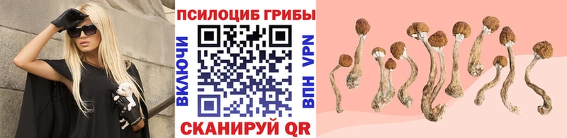 как найти   Жердевка  Галлюциногенные грибы мухоморы 